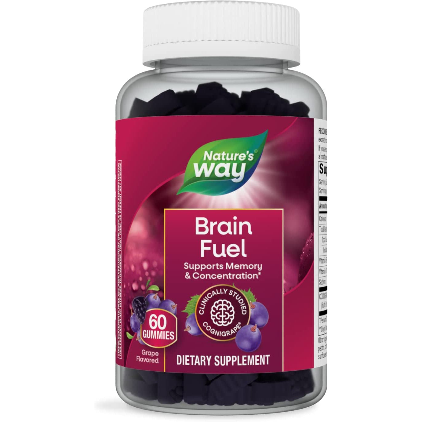 Nature's Way Brain Fuel