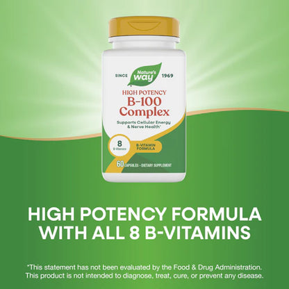 Nature's Way Vitamin B-100 Complex