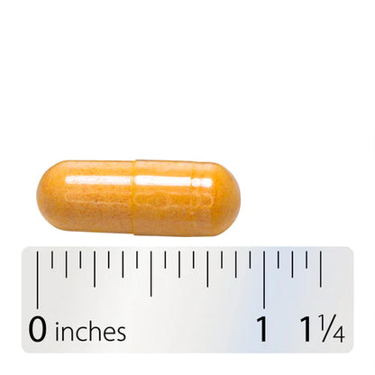 Nature's Way Vitamin B-100 Complex