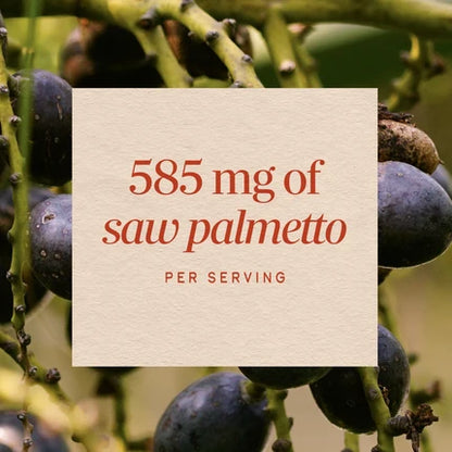 Nature's Way Saw Palmetto Berries