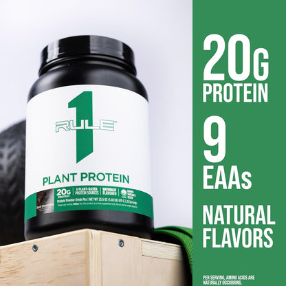 Rule 1 Plant Protein