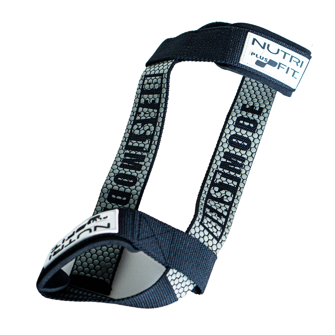 NutriFit Plus Padded Cotton Lifting Straps