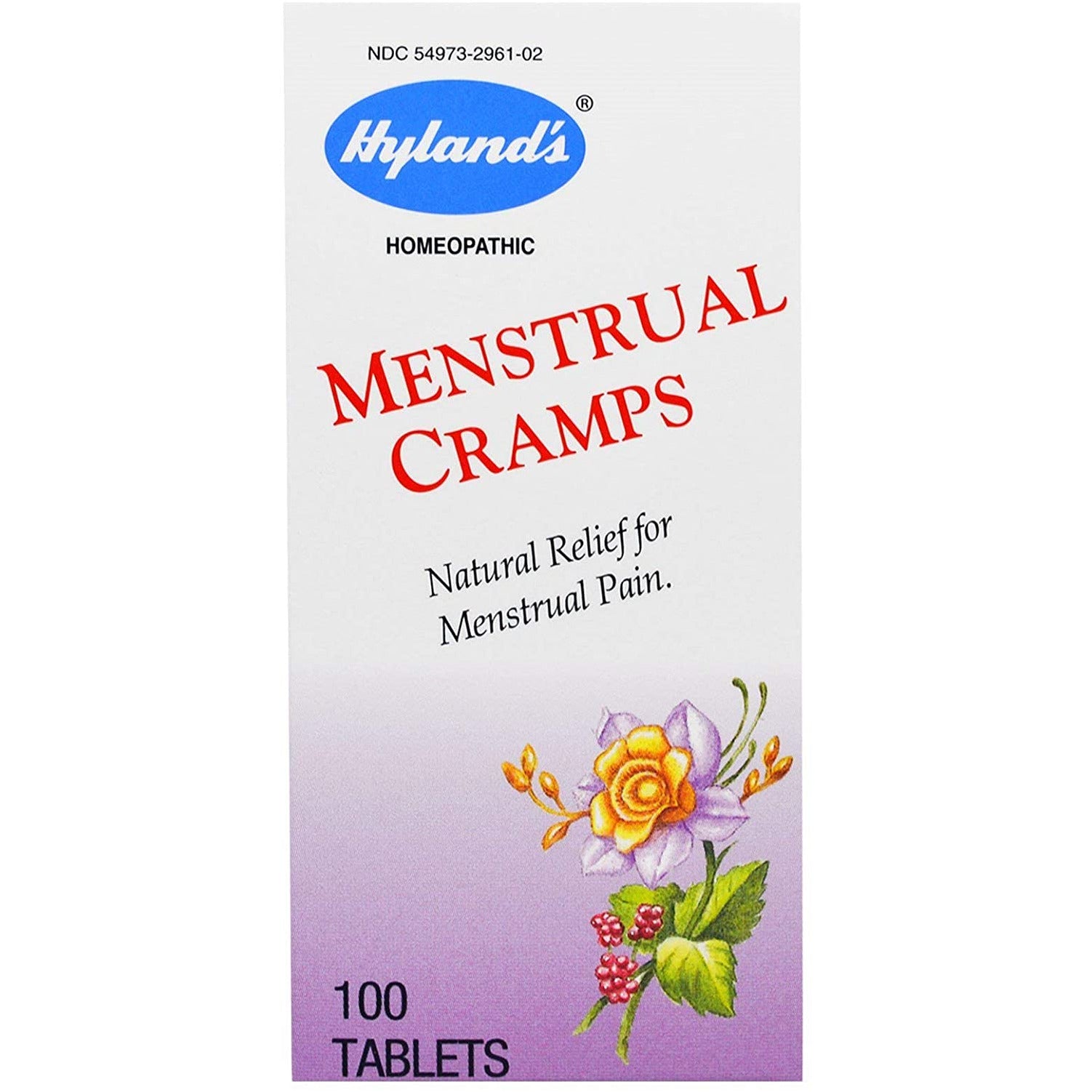 HYLAND'S MENSTRUAL CRAMPS