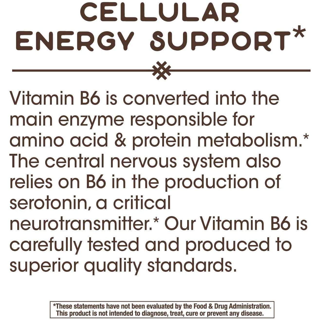 Natures Way Vitamin B-6