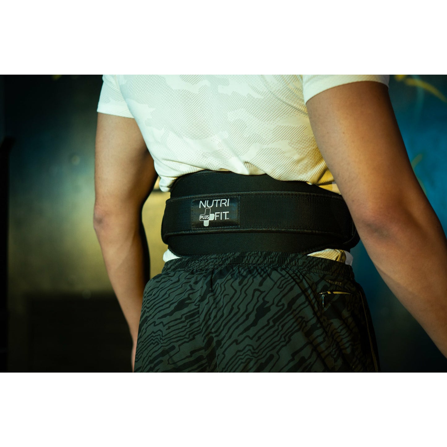 Premium Lifting Belt