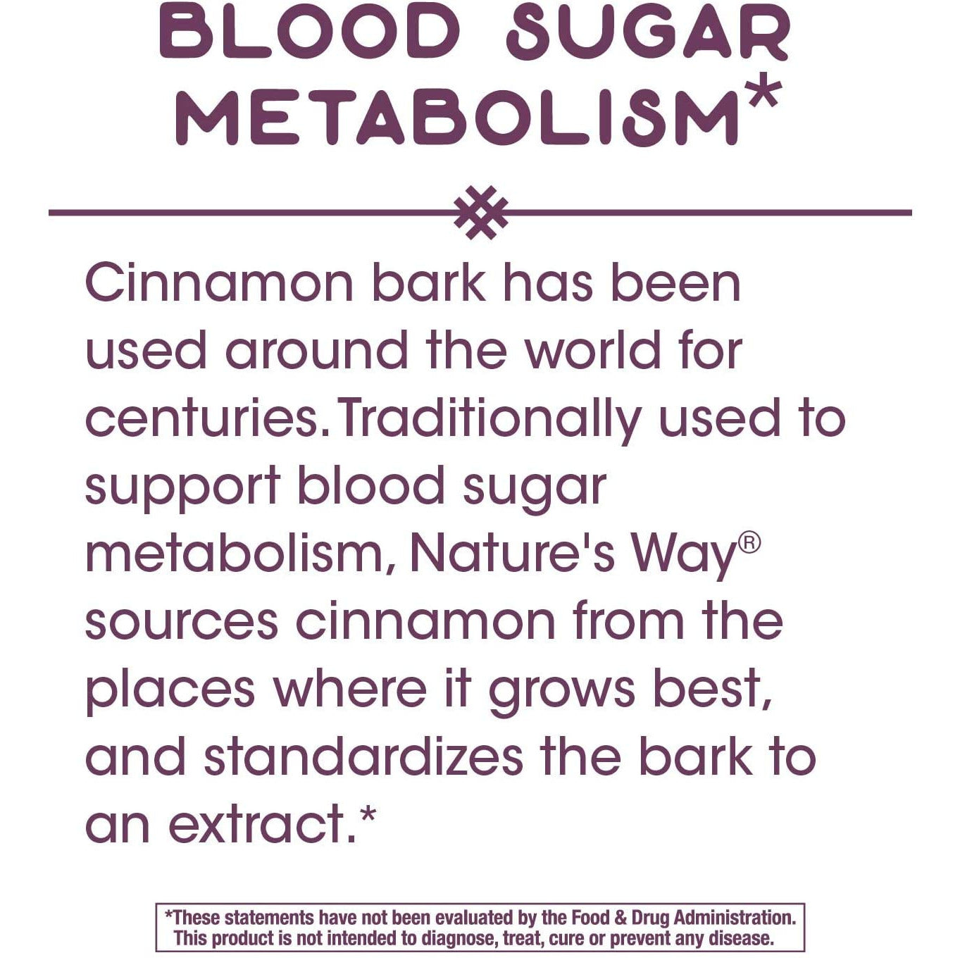 Nature's Way Premium Extract Cinnamon